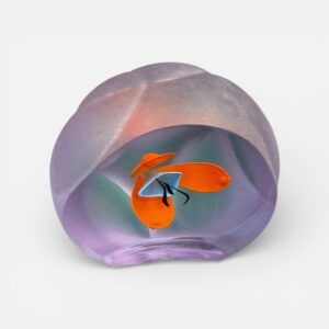 Paperweight